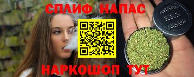 СК Обнинск
