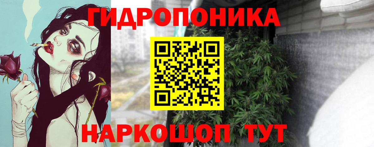 Каннабис сатива Сафоново